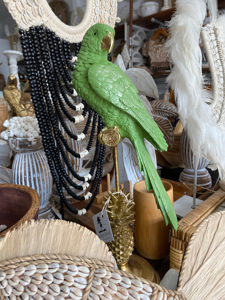 Jungle parrot