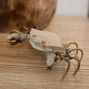 Driftwood Crab