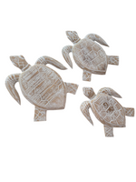 Turtle Carving