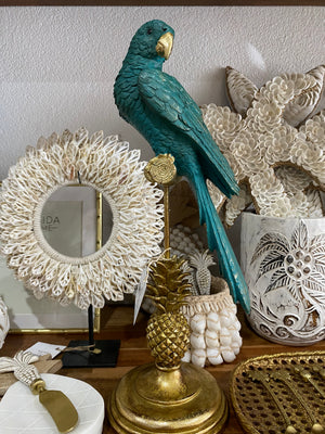 Jungle parrot