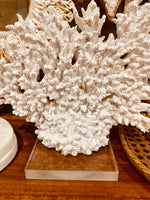 Coral