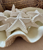 Small Starfish
