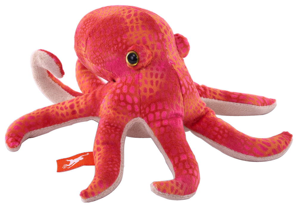Octopus