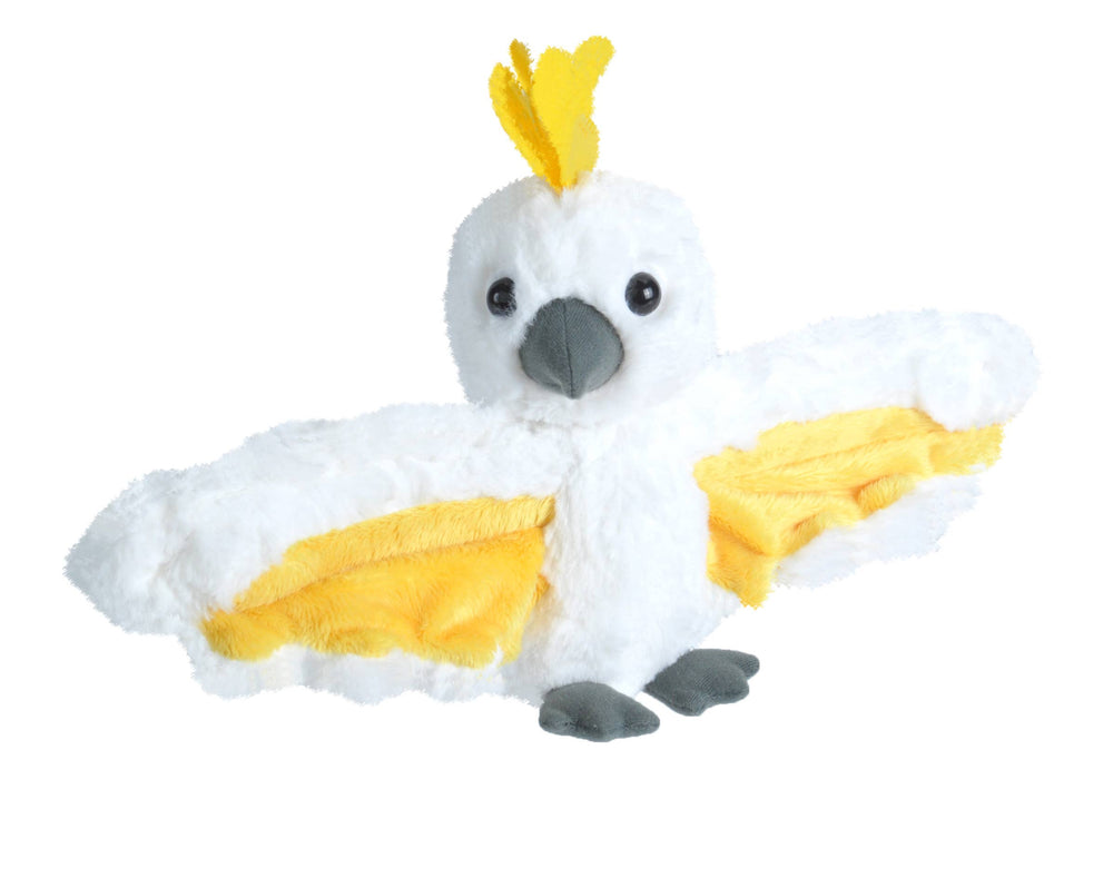 Sulphur Crest Cockatoo