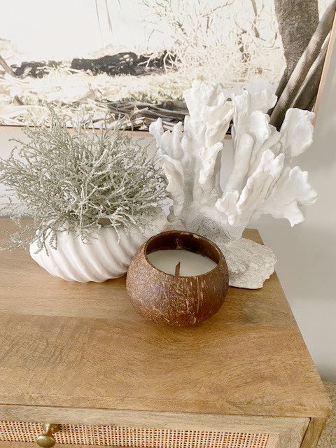 
            
                Load image into Gallery viewer, COCONUT CANDLE - Tropical Interiors &amp;amp; Island Boho
            
        