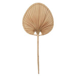 Haiti Palm Leaf - Tropical Interiors & Island Boho